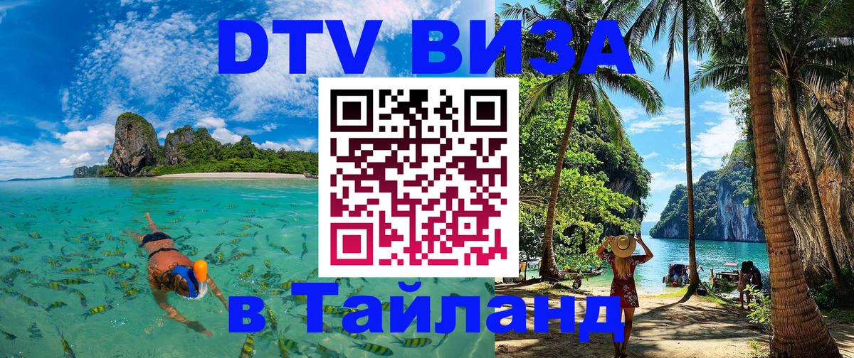 Сколько стоит DTV виза — актуальные цены, оформление даже без документов - 19.11.2025 